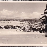 AK Braunlage, Adamsblick, Stadtansicht im Winter, Foto AK, ungelaufen