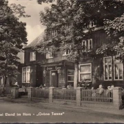 AK Mandelholz bei Elend, Gaststätte und Hotel Grüne Tanne, ungelaufen