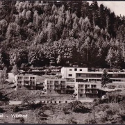 AK Wildbad, Panorama Hotel, gelaufen 1965