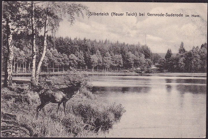 AK Gernrode, Silberteich, Hirsch, Feldpost, gelaufen 1918