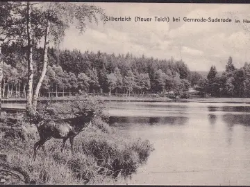 AK Gernrode, Silberteich, Hirsch, Feldpost, gelaufen 1918