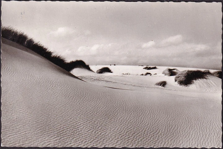 AK Sylt, Vom Winde verweht, gelaufen 1968