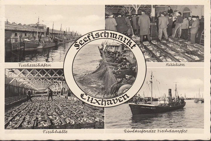 AK Cuxhaven, Fischereihafen, Kutter Heidmann, Schiff Detmold, Fischhalle, Auktion, gelaufen 1963