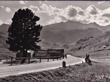 AK Die letzte Arve ob Bivio am Julierpass, ungelaufen