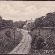 AK Skive, Blick auf den Nordbahnhof, Julmarke Friedrich VIII, Louise van Zweden, gelaufen 1907