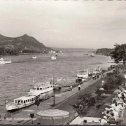 AK Köln, Weber Schiffe, Promenade, Siebengebirge, ungelaufen