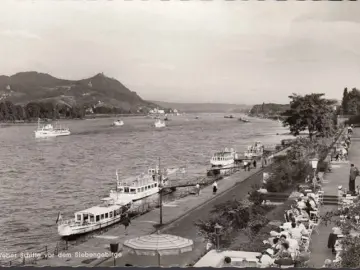 AK Köln, Weber Schiffe, Promenade, Siebengebirge, ungelaufen