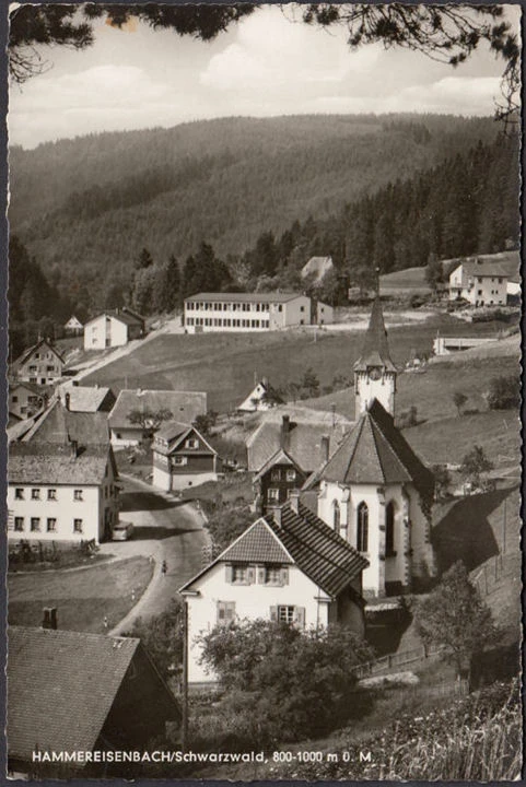 AK Hammereisenbach, Stadtansicht, gelaufen