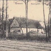 AK Lübben, Bauerngehöft, gelaufen 1909