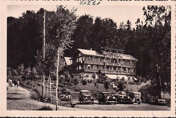 AK Neumarkt am Wallersee, Strandbad und Waldhotel Wallersee, Autos, ungelaufen