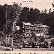 AK Neumarkt am Wallersee, Strandbad und Waldhotel Wallersee, Autos, ungelaufen