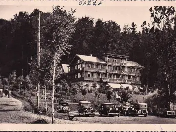 AK Neumarkt am Wallersee, Strandbad und Waldhotel Wallersee, Autos, ungelaufen