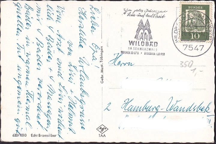 AK Bad Wildbad, Kurpark, Trinkhalle, Schwimmbad, Olgastraße, gelaufen 1962