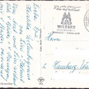 AK Bad Wildbad, Kurpark, Trinkhalle, Schwimmbad, Olgastraße, gelaufen 1962