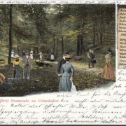 AK Suderode, Promenade am Felsenkeller, gelaufen 1902