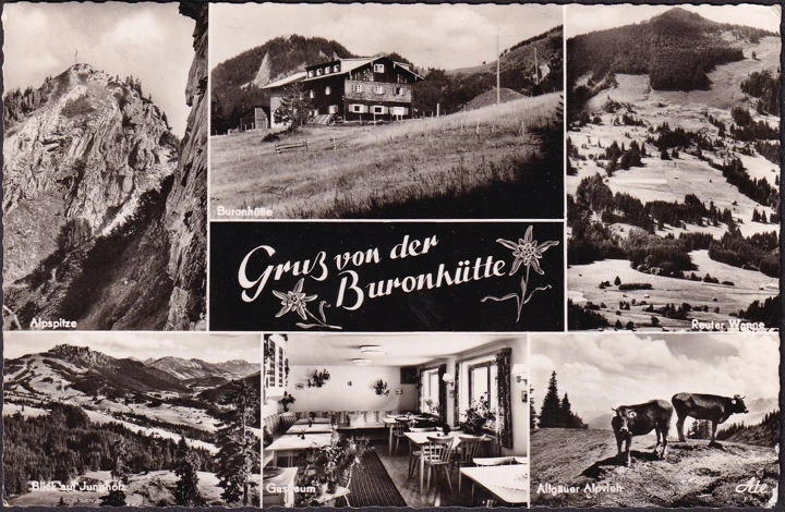 AK Wertach, Gruss von der Buronhütte, Gastraum, Alpvieh, gelaufen 1962