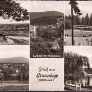 AK Braunlage, Wandelhalle, Gondelteich, Kurpark, gelaufen 1959