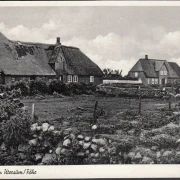 AK Utersum auf Föhr, Gehöfte, gelaufen 1954