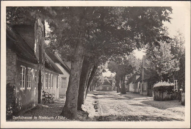 AK Nieblum auf Föhr, Dorfstraße, Reetdachhäuser, gelaufen 1938