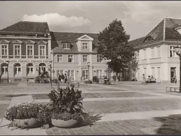 AK Potsdam, Klement Gottwald Straße, Gastmahl des Meeres, ungelaufen