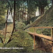 AK Bad Buckow, Teufelsbrücke, ungelaufen