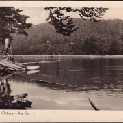 AK Güntersberge, Am See, Ruderboot, gelaufen 1956