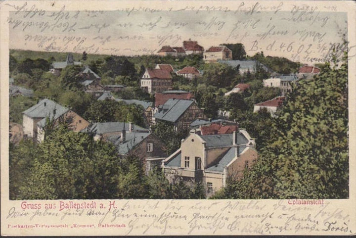 AK Ballenstedt, Stadtansicht, gelaufen 1902