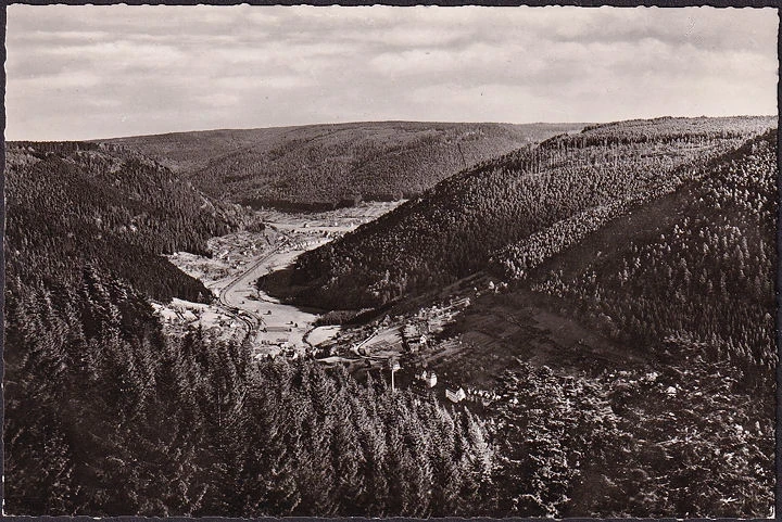 AK Bad Wildbad, Blick ins Enztal, ungelaufen