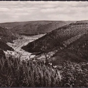 AK Bad Wildbad, Blick ins Enztal, ungelaufen