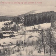 AK Blick vom Hotel Fürst zu Stolberg auf Ober Schierke im Winter, gelaufen 1913