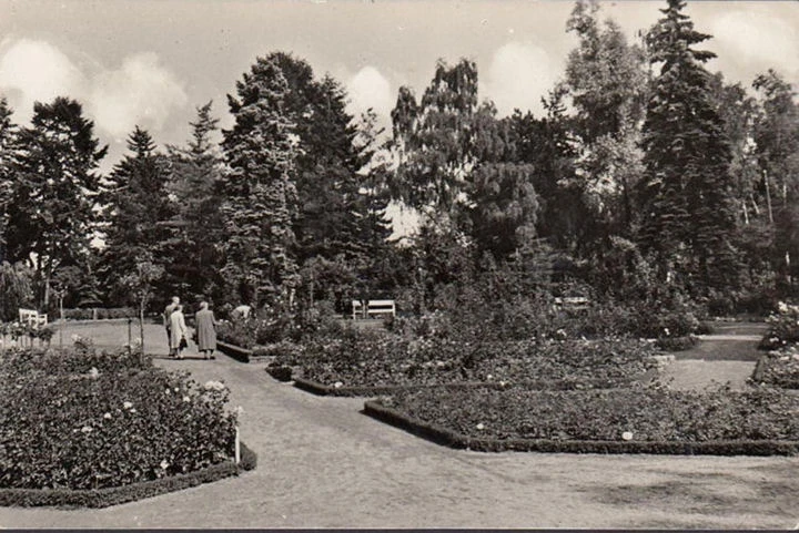 AK Sangerhausen, Rosarium, ungelaufen