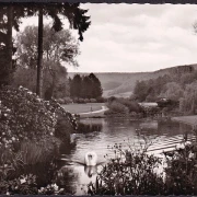 AK Bad Pyrmont, Im Kurpark, Schwan, ungelaufen