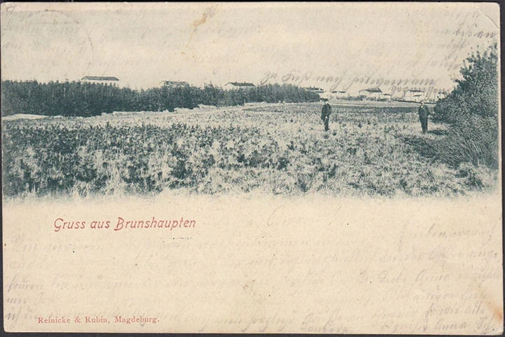 AK Gruss aus Brunshaupten, Ortsansicht, gelaufen 1901