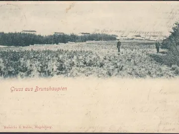 AK Gruss aus Brunshaupten, Ortsansicht, gelaufen 1901