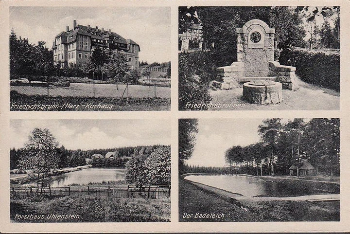 AK Friedrichsbrunn, Kurhaus, Forsthaus, Badeteich, Brunnen, ungelaufen