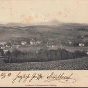 AK Sulz, Stangau, Stadtansicht, gelaufen 1903