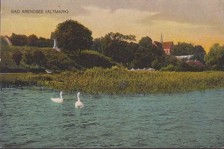 AK Bad Arendsee, Arendsee, Schwäne, Kirche, gelaufen 1942