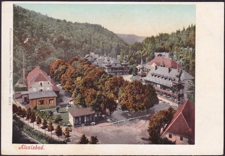 AK Alexisbad, Stadtansicht, ungelaufen