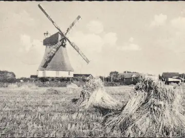 AK Wyk auf Föhr, Windmühle, gelaufen 1963