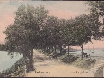 AK Kopenhagen, Von der Langelinie, Julmarke Friedrich VIII, Louise van Zweden, gelaufen 1907