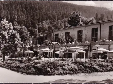 AK Bad Wildbad, Trinkhalle mit Kurgarten, gelaufen 1959