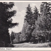 AK Wildemann, Kurpark, gelaufen 1955