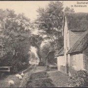 AK Boldixum auf Föhr, Dorfstraße, Gänse, ungelaufen