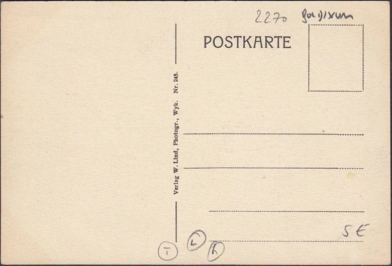 AK Boldixum auf Föhr, Dorfstraße, Gänse, ungelaufen