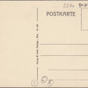 AK Boldixum auf Föhr, Dorfstraße, Gänse, ungelaufen