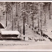 AK Bayrischzell, Wildtierfütterung beim Zipflwirt im Winter, Bahnpost, gelaufen 1955