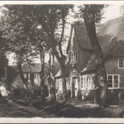 AK Nieblum auf Föhr, Straßenansicht, Reetdachhäuser, Foto AK, ungelaufen