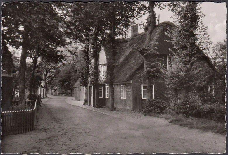 AK Nieblum auf Föhr, Poststraße, Reetdachhäuser, gelaufen 1958