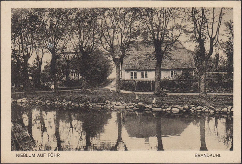 AK Nieblum auf Föhr, Brandkuhl, gelaufen 1928