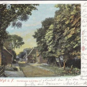 AK Wyk auf Föhr, Dorfstraße auf Föhr, Litho, gelaufen 1900